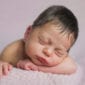 Neugeborenes schlaeft auf dem Bauch waehrend eines neugeborenen Fotoshootings im Donna Bellini Photo Studio Berlin
